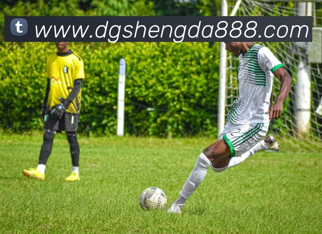 6566体育app是什么东西品牌故事